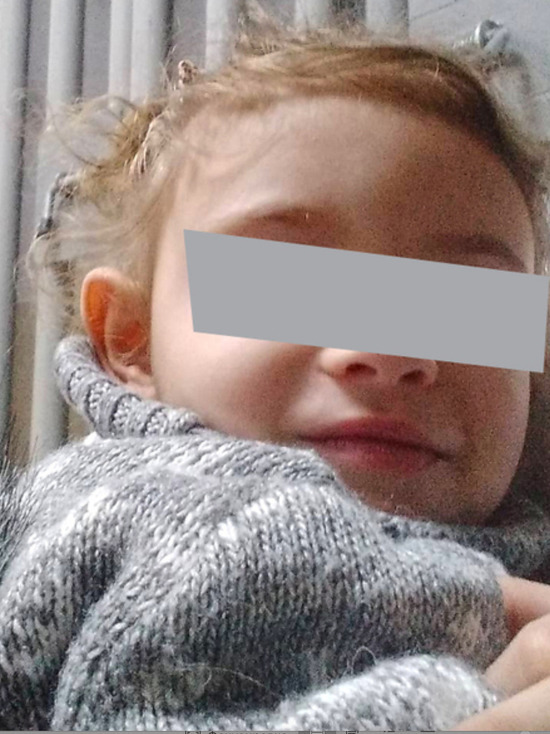 Девочка, которую пытались похитить у отца в Бурятии, будет жить с матерью в Волгограде