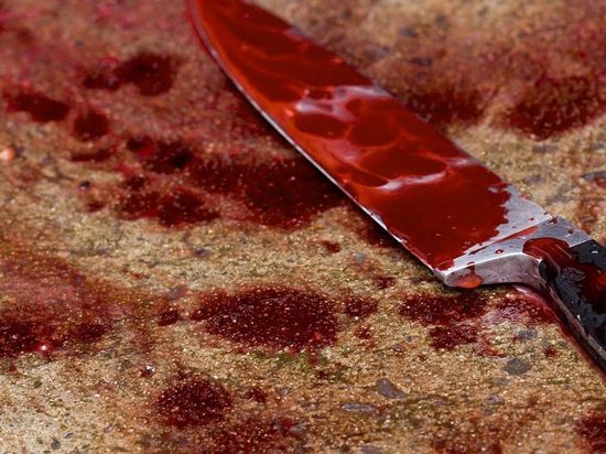 Житель Якутска убил знакомого 69 ударами ножа