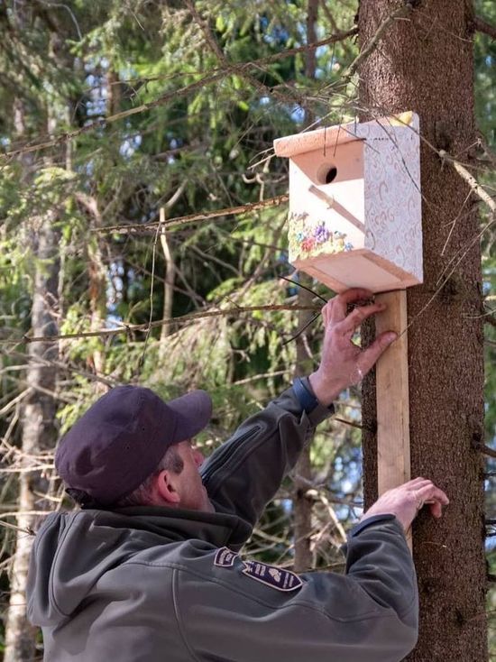 Новые домики для птиц развесили в Приокско-Террасном заповеднике