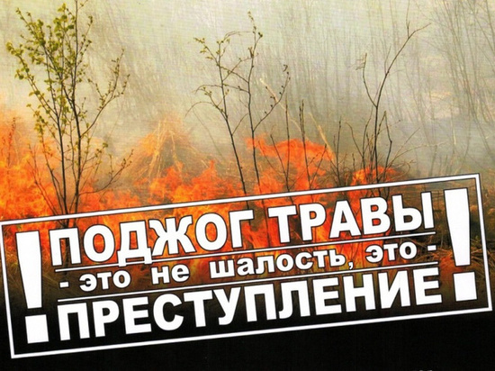 Поджигателей травы в Костроме накажут рублем
