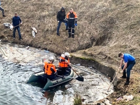 Ногинский пруд в Серпухове очистили от мёртвой рыбы