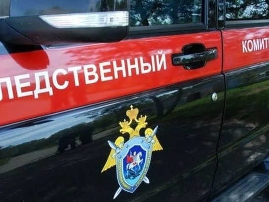 От отравления угарным газом в Завьяловском районе Удмуртии погиб мужчина