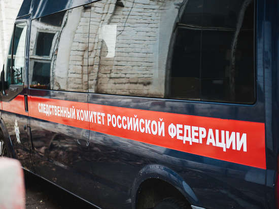 Против полицейских из Калмыкии возбудили дело в Новгородской области