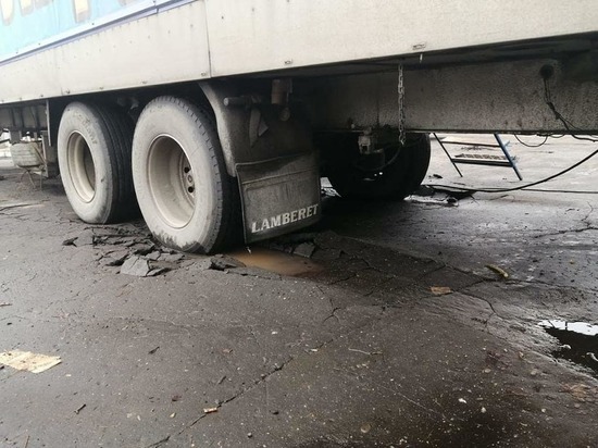 В Советской Гавани пишут: цирк разрушил парк «Зеленый мыс»