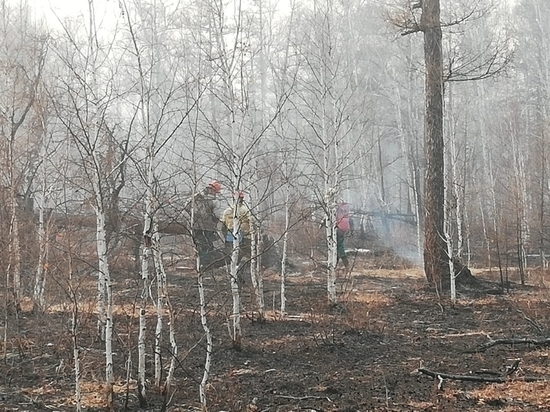 Пожарные потушили возгорание в лесу Улетовского района