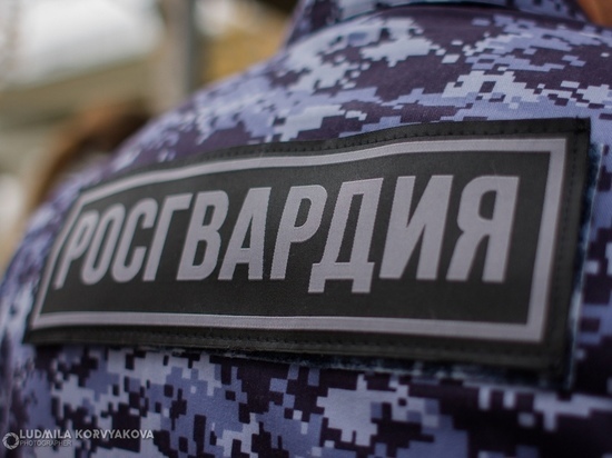 Росгвардейцы Карелии задержали в гипермаркете двух хулиганов за нецензурную брань