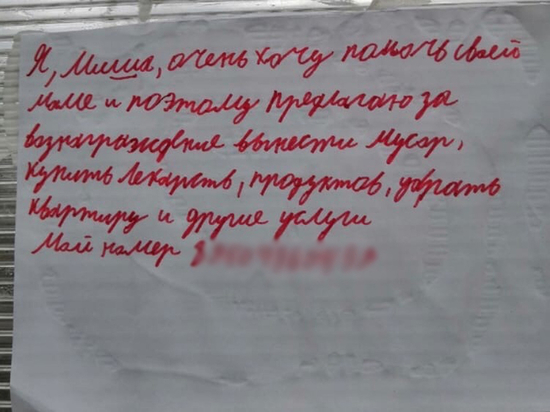 «Не всё ещё потеряно»: мальчик расклеил по Красноярску объявления о поиске работы, чтобы помочь своей маме