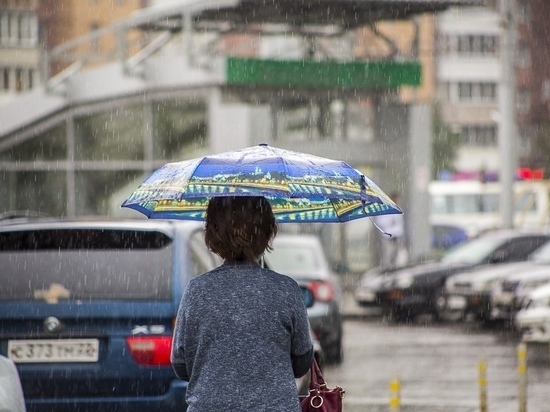 Резкое похолодание и дожди придут в Новосибирск в выходные