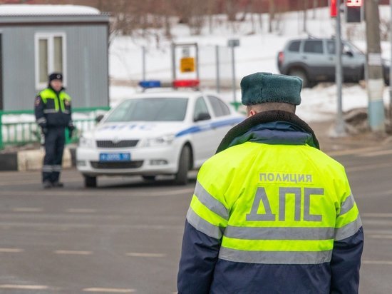 Нарушителя ПДД задержали на трассе в Удмуртии