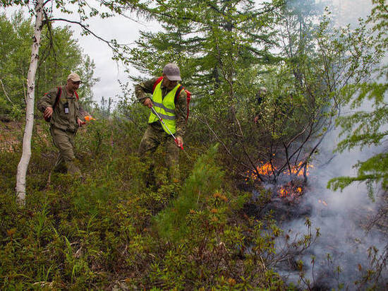 На Сахалине стартует пожароопасный сезон