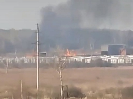 В Ярославле из-за горевшей травы едва не сгорел завод