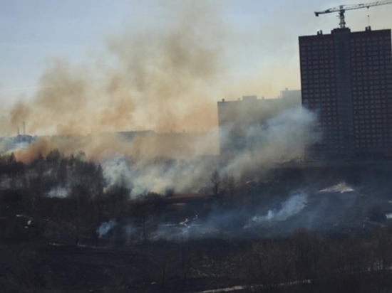 Видео: за гипермаркетом «Зельгрос» в Рязани загорелась трава