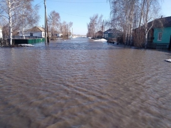 Власти Локтевского района осматривают затопленные дома