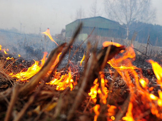 Вчера пожарные девять раз тушили горящую траву в Марий Эл