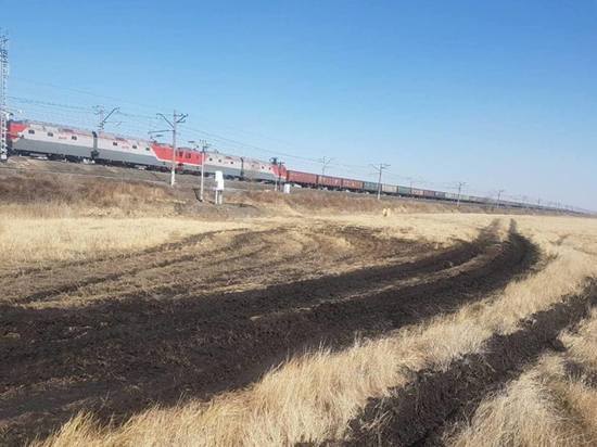 В Челябинской области под колесами грузового поезда погибла женщина