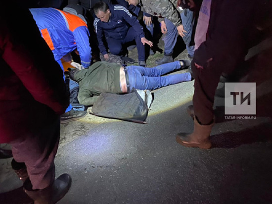 Байкер попал в реанимацию после столкновения с лосем в Татарстане