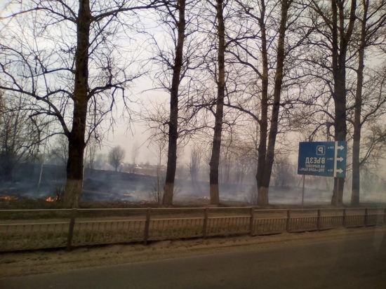 В Брянске загорелась трава напротив ТЦ «Аэрорпарк»