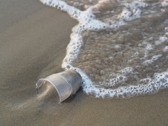 Greenpeace: большинство карельского пластика отправится на свалку вместо переработки