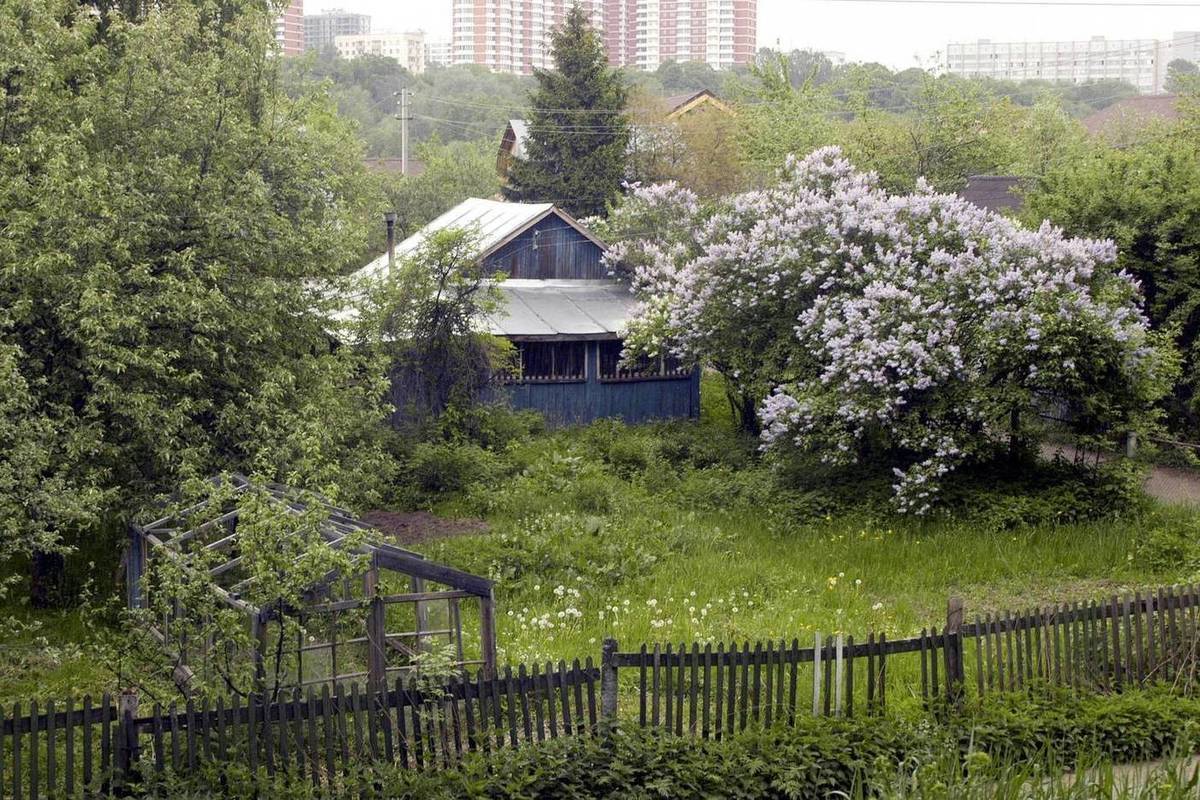 Деревня новая москва. Москва большая деревня. Деревня большая остеба на Москву.