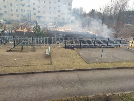 В Тверской области дети играли с огнем и подожгли траву возле жилого дома