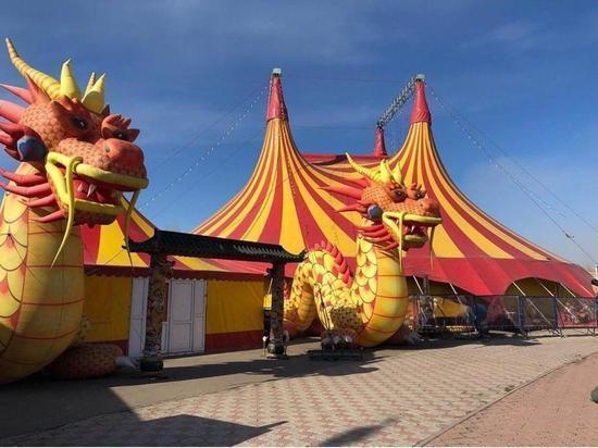 Цирк «Золотой дракон» проиграл кассационный суд новосибирской зоозащитнице
