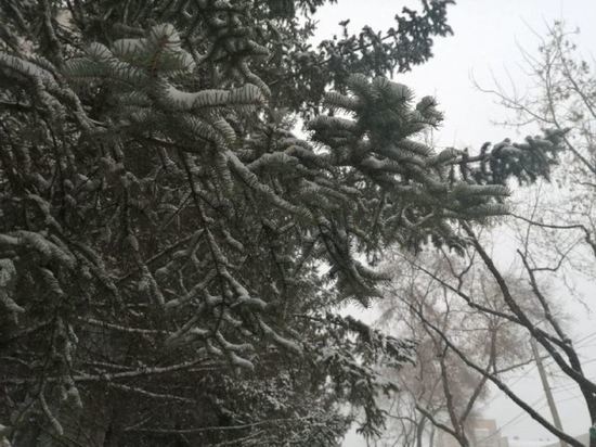 Снег с дождем ожидается в Амурской области 17 апреля