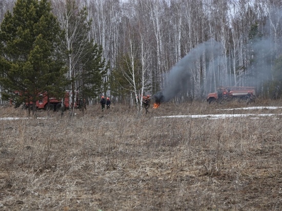 В Красноярском крае начали гореть леса