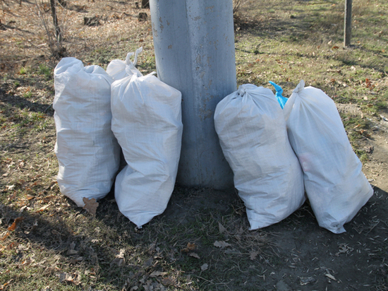 Загрязненную лесополосу в Оренбурге очистили от мусора