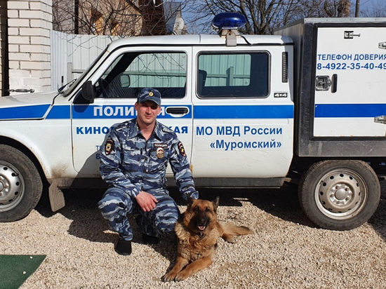 Служебная собака Макс помогла найти магазинного вора во Владимирской области