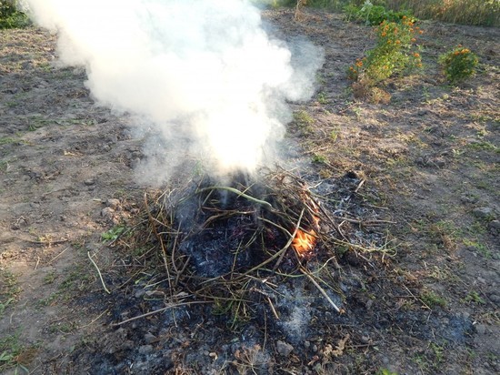 Трава горела в двух районах Сахалинской области
