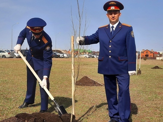 Тамбовские следователи посадили в Олимпийском парке тополя