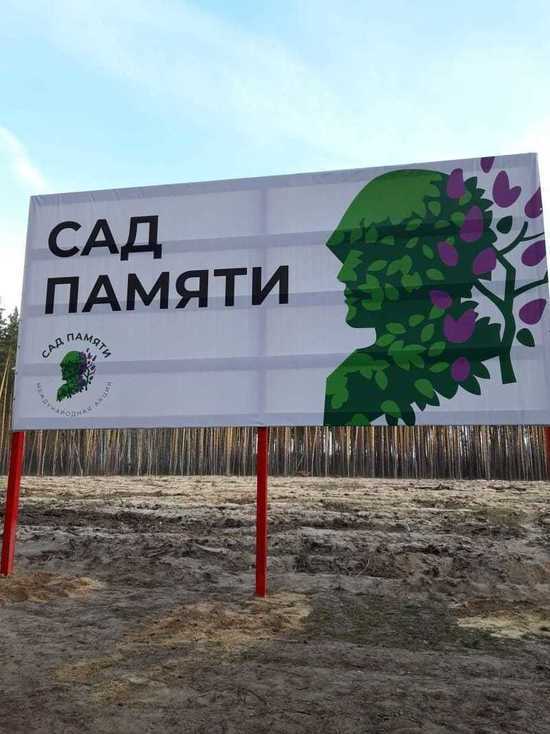 Тамбовские лесоводы начали посадку деревьев в рамках акции «Сад памяти»