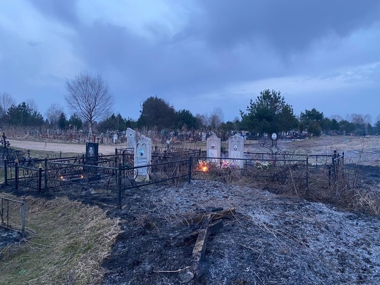 В Тверской области загорелось кладбище