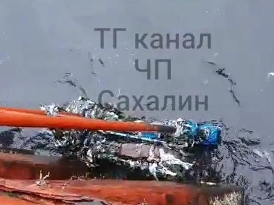 Курильский завод уличили в сливе отходов в море