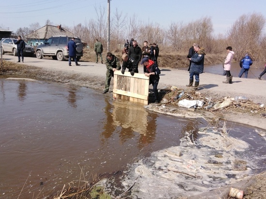 Поиски 6-летнего мальчика в реке Власиха под Новосибирском продолжили без волонтеров