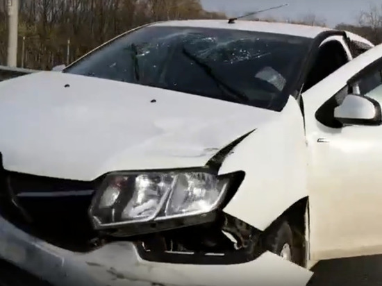 На Северной окружной в Рязани водитель на «Рено» врезался в ограждение