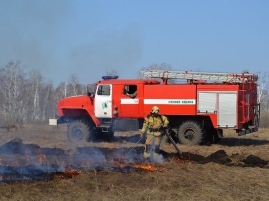 В Челябинской области за семь дней произошло уже 10 лесных пожаров