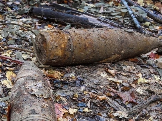 В Смоленской области нашли два взрывоопасных предмета времен ВОВ
