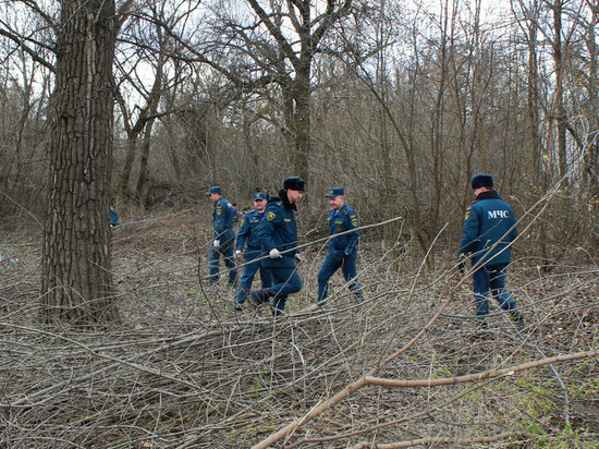 Сотрудники МЧС ДНР стали участниками общереспубликанского субботника
