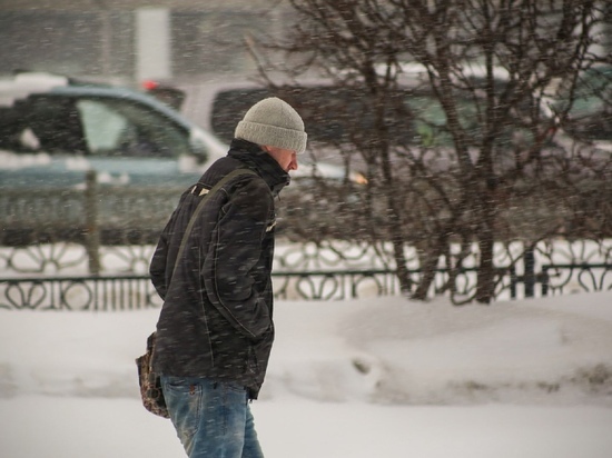 Заморозки до -16 градусов придут в Новосибирскую область на следующей неделе