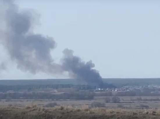 В Рыбновском районе зафиксировали пожар в Сельцах