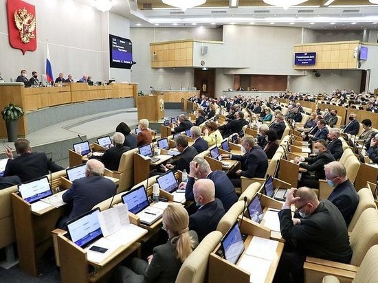 Депутаты ГД от Забайкалья отчитались о доходах за 2020 год