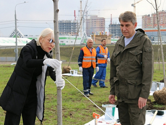 Дмитрий Миляев: "Туле нужны новые деревья, ведь они – легкие нашего города"