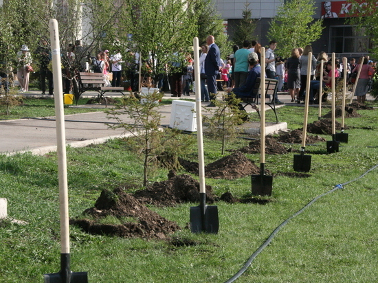 В Башкирии 35 тысяч человек посадят саженцы и крупномеры