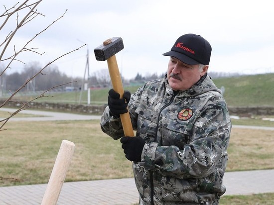 Оппозиция Белоруссии оценила "попытку убийства Лукашенко"