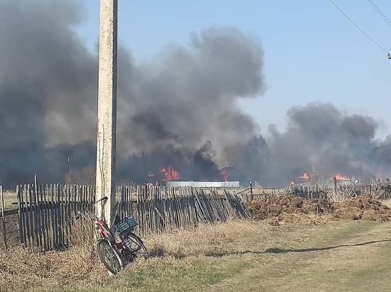 В Сасовском районе Рязанской области сгорели семь домов