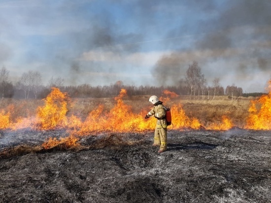 В Челябинской области горит сухостой возле жилых домов