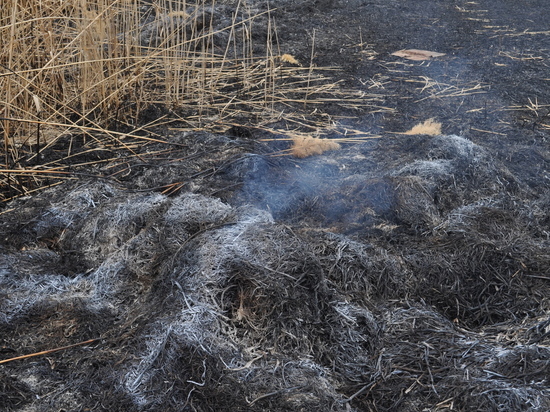 В Калмыкии начался пожароопасный период