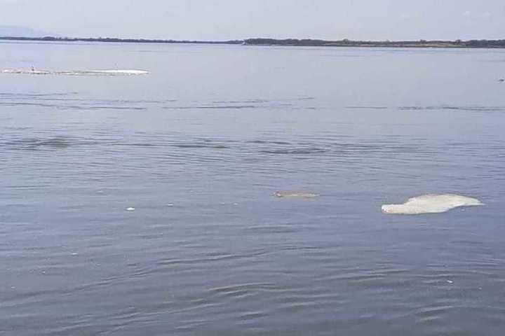 Температура амура у хабаровска. Положение монтажа в воде на Амура