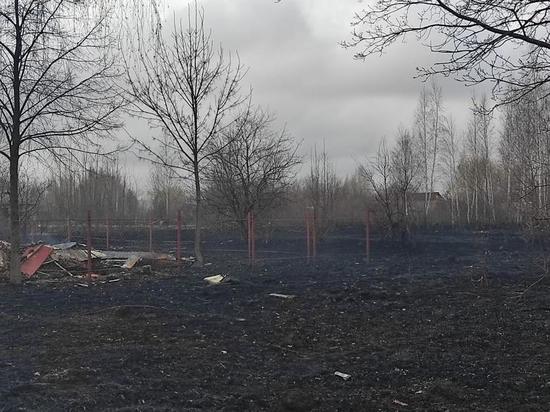 Из-за пала сухой травы под Рязанью выгорела деревня